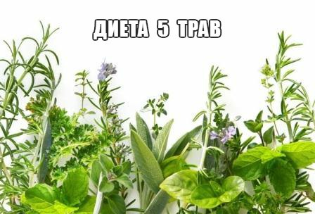 Диета «5 трав» Диета «5 трав»