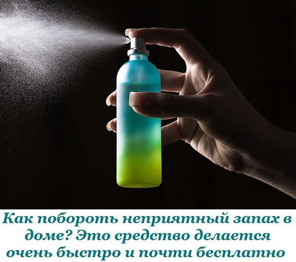Как побороть неприятный запах в доме? Как побороть неприятный запах в доме?