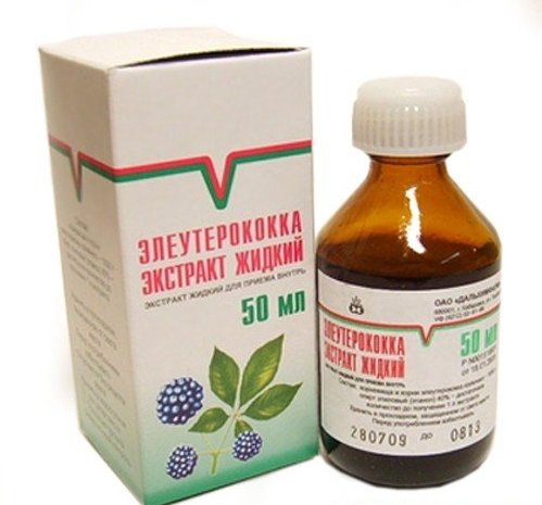 О пользе элеутерококка О пользе элеутерококка