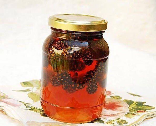 Лечебный сироп из еловых шишек Лечебный сироп из еловых шишек