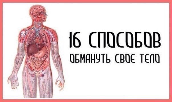 16 способов обмануть свое тело 16 способов обмануть свое тело