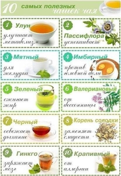 10 самых полезных чашек чая 10 самых полезных чашек чая