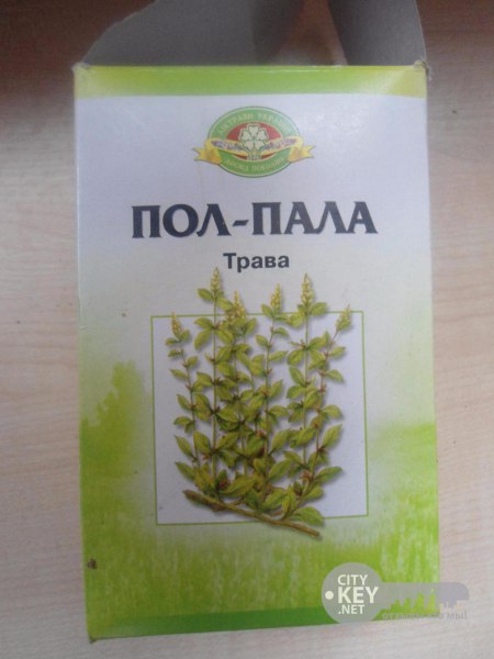 Пол-пала — хирург без скальпеля! Пол-пала — хирург без скальпеля!