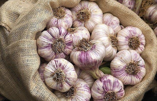 Чесночная шелуха продлевает молодость кожи! Чесночная шелуха продлевает молодость кожи!