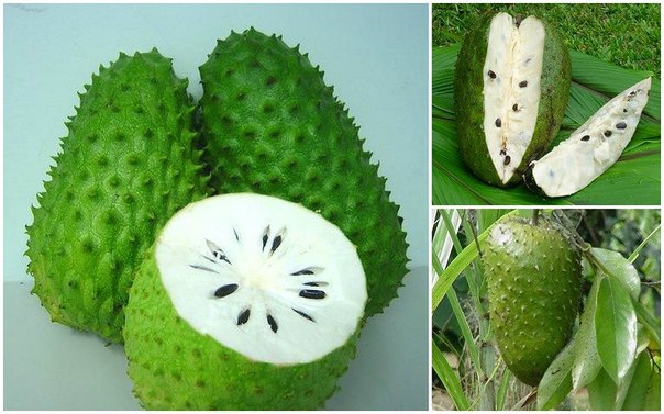 Фрукт, который лечит рак! Фрукт, который лечит рак!