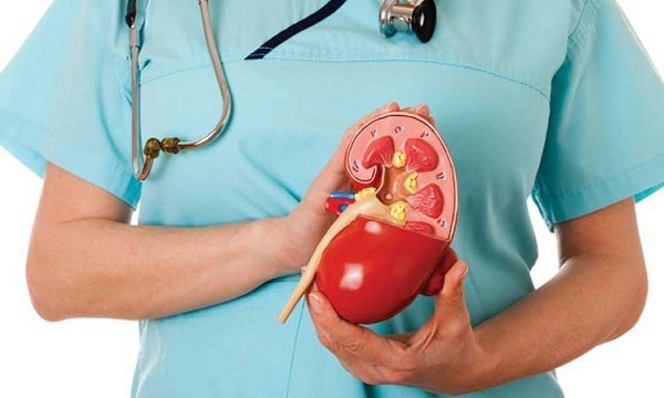 Помогаем больным почкам Помогаем больным почкам
